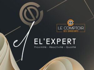 Logo El Expert